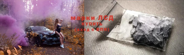 трава Лабытнанги