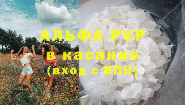 трава Лабытнанги