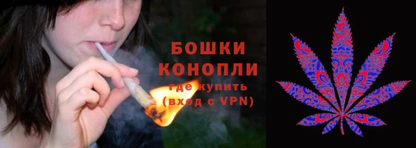 тгк Лагань