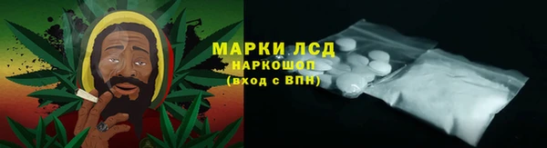 трава Лабытнанги