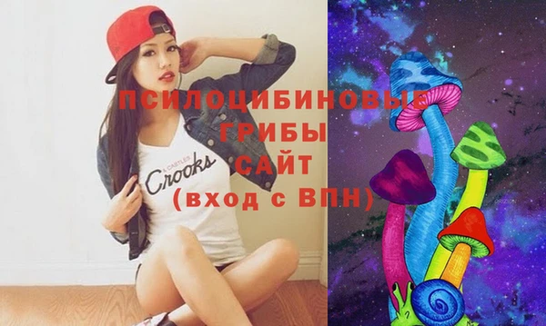 тгк Лагань