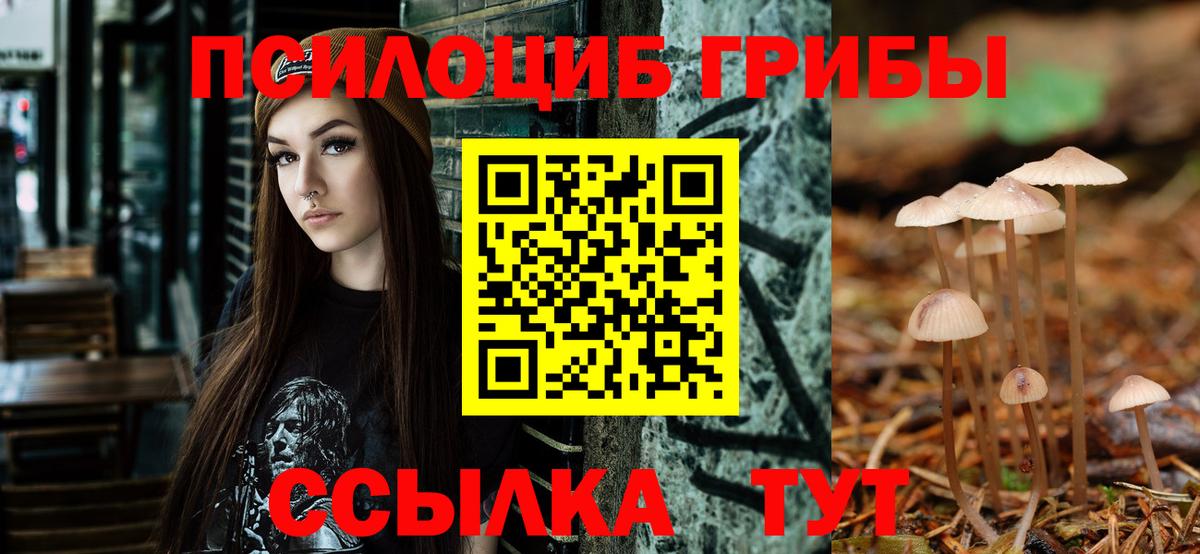 Псилоцибиновые грибы мухоморы  как найти наркотики  Нижний Новгород 