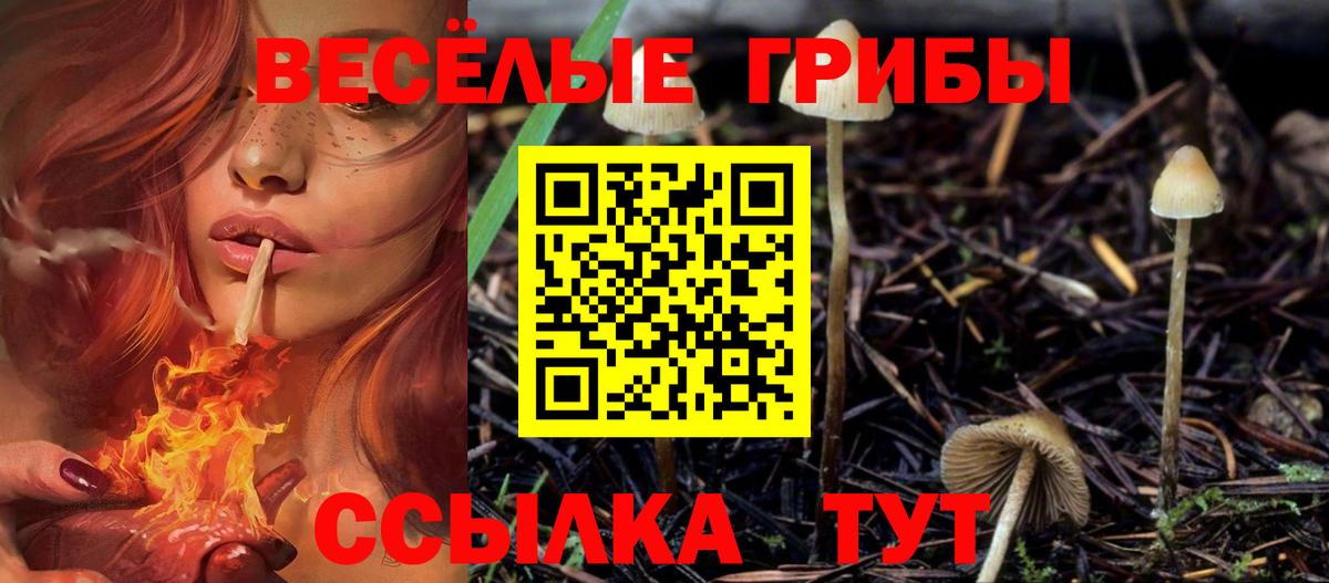 Нижний Новгород  Галлюциногенные грибы Magic Shrooms  Псилоцибиновые грибы мухоморы  Вход с VPN 
