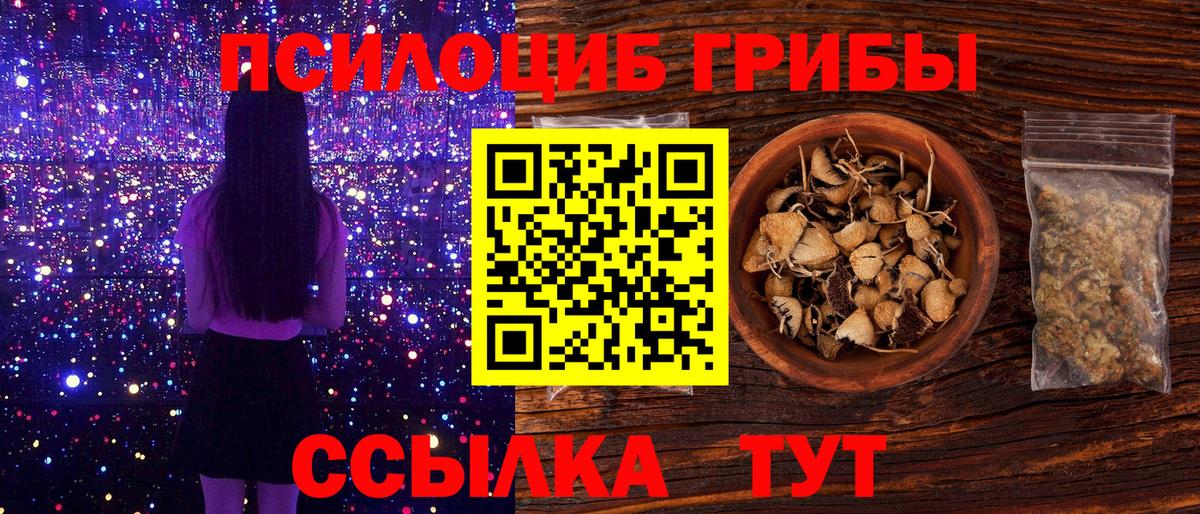 Псилоцибиновые грибы Psilocybine cubensis Нижний Новгород